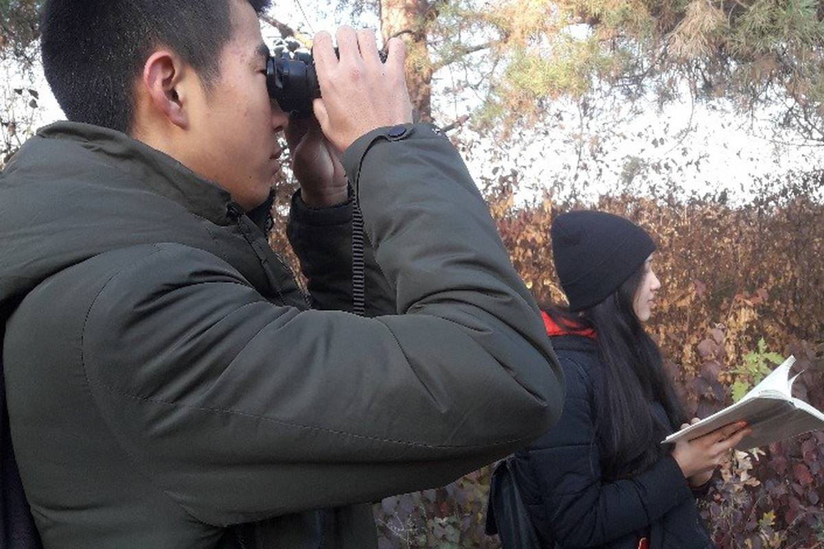 Birdwatching
